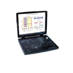 Study of Phonocardiograph System